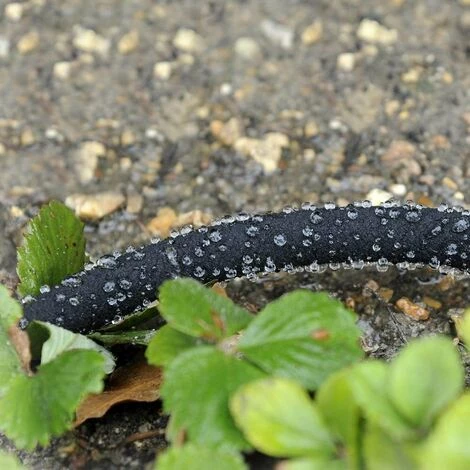 TERRE JARDIN Tuyau D'arrosage Poreux 12 M 5 TERRE JARDIN Tuyau D'arrosage Poreux 12 M – Image 3